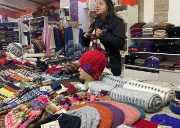 Conheça a raríssima e muito valorizada Lã de Alpaca