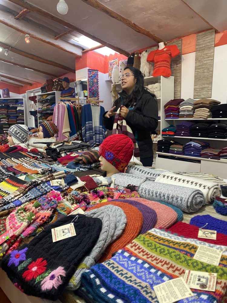 Conheça a raríssima e muito valorizada Lã de Alpaca