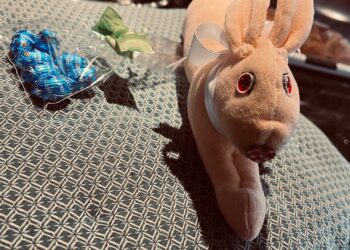 Aprenda a fazer um lindo coelhinho para alegrar a páscoa