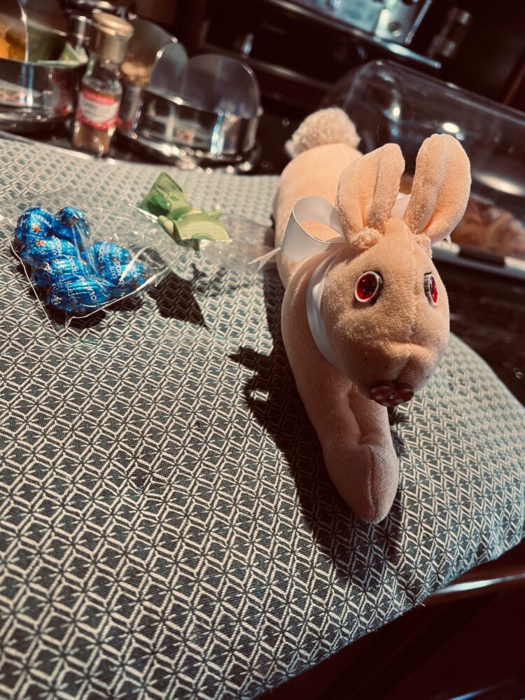 Aprenda a fazer um lindo coelhinho para alegrar a páscoa